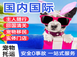 阿坝红原机场空运国际宠物托运 【国